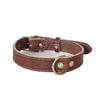 European Buffalo Leather Collar 1 Inch.