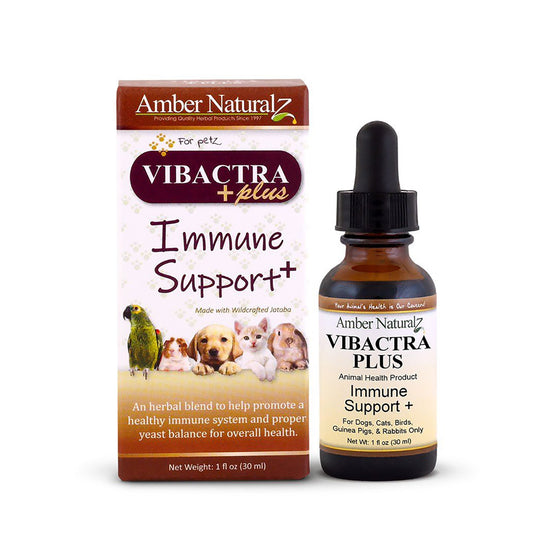 Amber Naturalz - Vibactra Plus (Immune Support +)