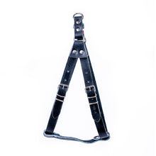 European Step-In Buffalo Leather Harness
