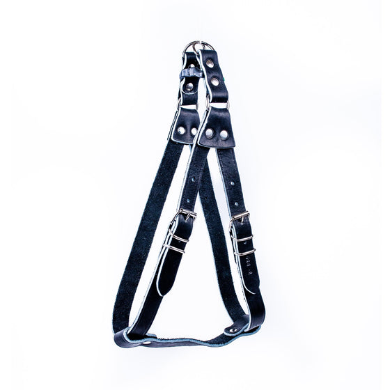 European Step-In Buffalo Leather Harness