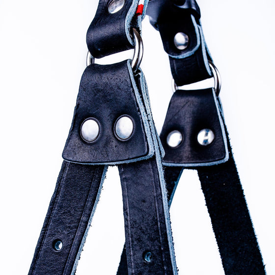 European Step-In Buffalo Leather Harness