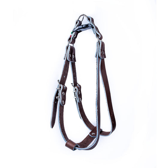 European Step-In Buffalo Leather Harness