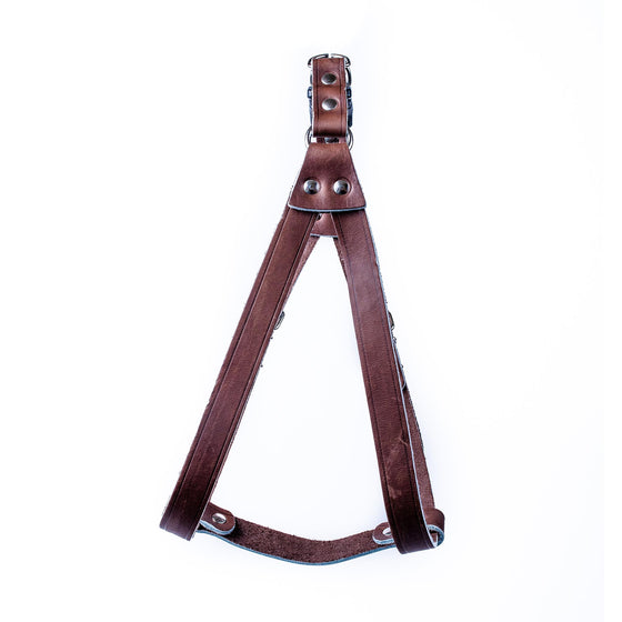 European Step-In Buffalo Leather Harness