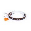 German Star Studded Leather Collar (Double Lined) - Small