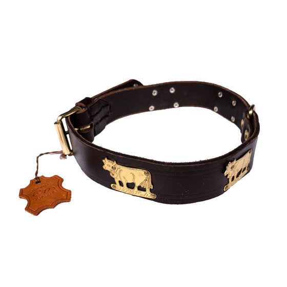 European Herding Brass Dog Collar Large