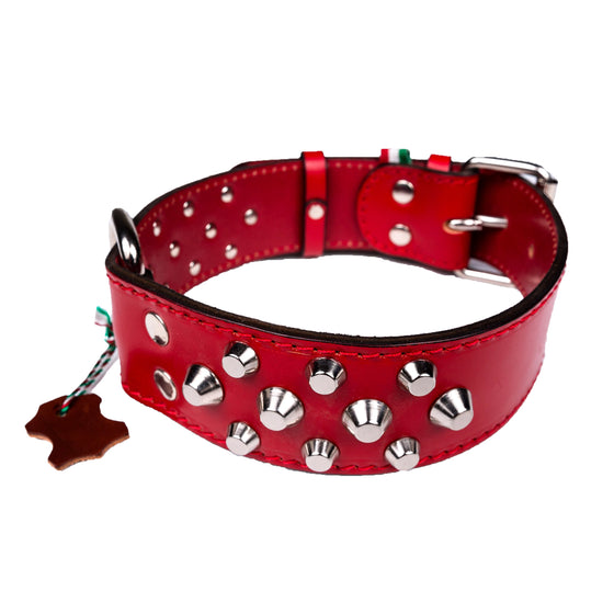 European Mastiff Studded Collar