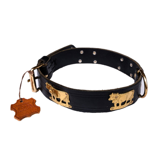 European Herding Brass Dog Collar Large