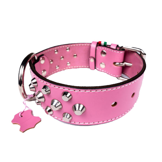 European Mastiff Studded Collar
