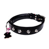 European Padded Leather Collar with Studs