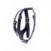 European Leather  Harness - Small/Medium Breed