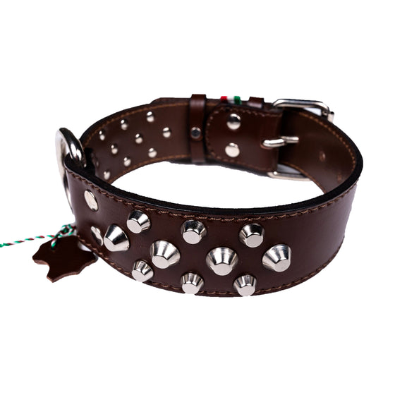 European Mastiff Studded Collar
