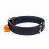 German Leather Collar -