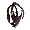 Carlino Leather Harness