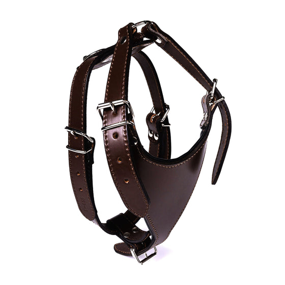 Carlino Leather Harness