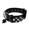 European Mastiff Studded Collar