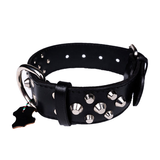 European Mastiff Studded Collar