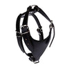 Carlino Leather Harness