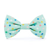 Foggy Dog - Yay! Birthday Bow Tie Aqua