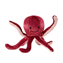  Fluff & Tuff Olympia Octopus