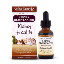  Amber Naturalz - Kidney Rejuvenator (Kidney Health)