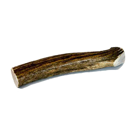Elk Antler Chew Whole - Large