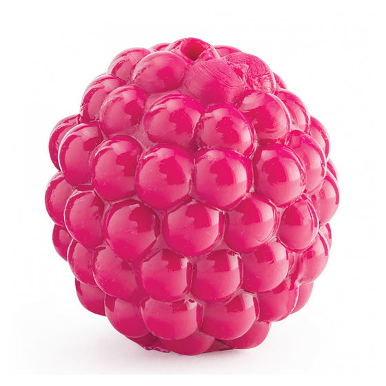 Planet Dog Orbee Rasberry