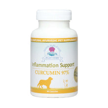  Ayush - Curcumin 97% Inflammation Support