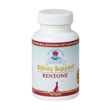  Ayush - RENTONE For Urinary Tract/Kidney Support