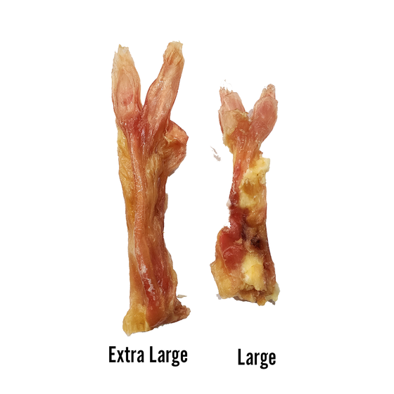 Beef Tendon Bundles