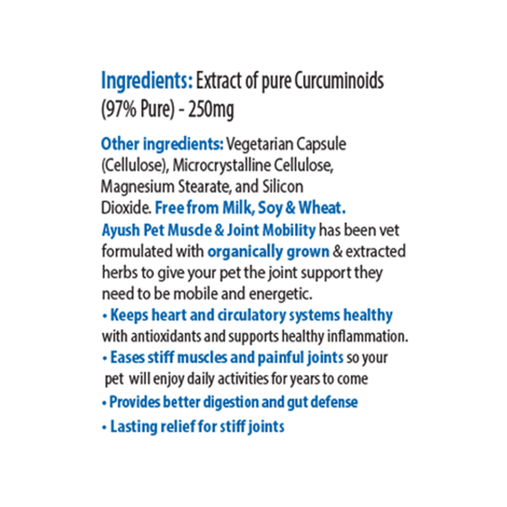 Ayush - Curcumin 97% Inflammation Support