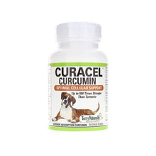  Terry Naturally - Curacel Curcumin