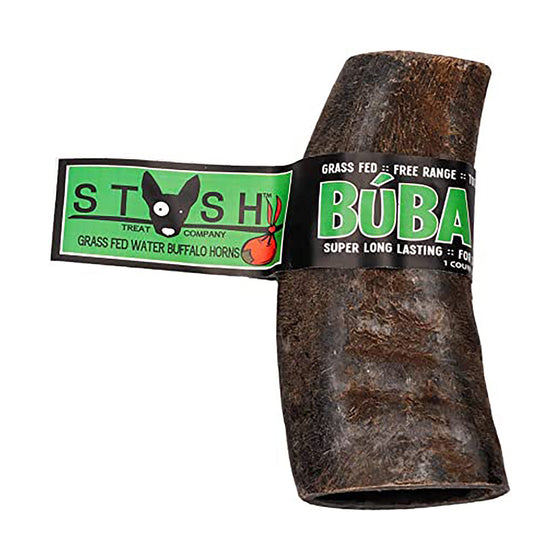 Water Buffalo Horns